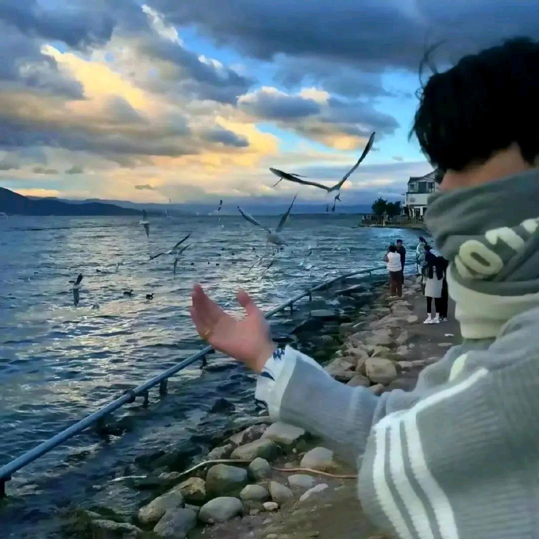 许我半盏清茶