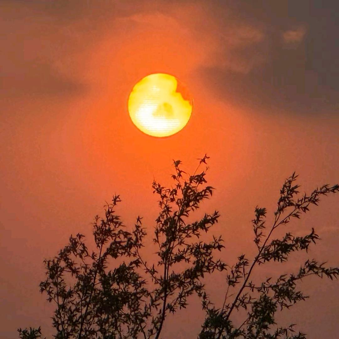 ℒฺℴฺνℯ̶ฺ归̶零̶⋆*