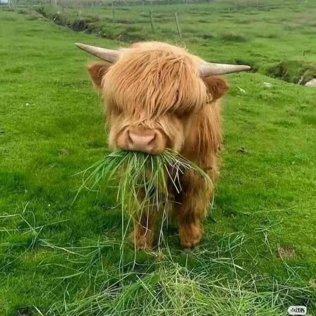 许昌想见你鲜花店【孟齐】