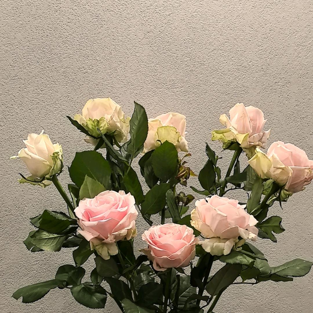做涂料的花姐
