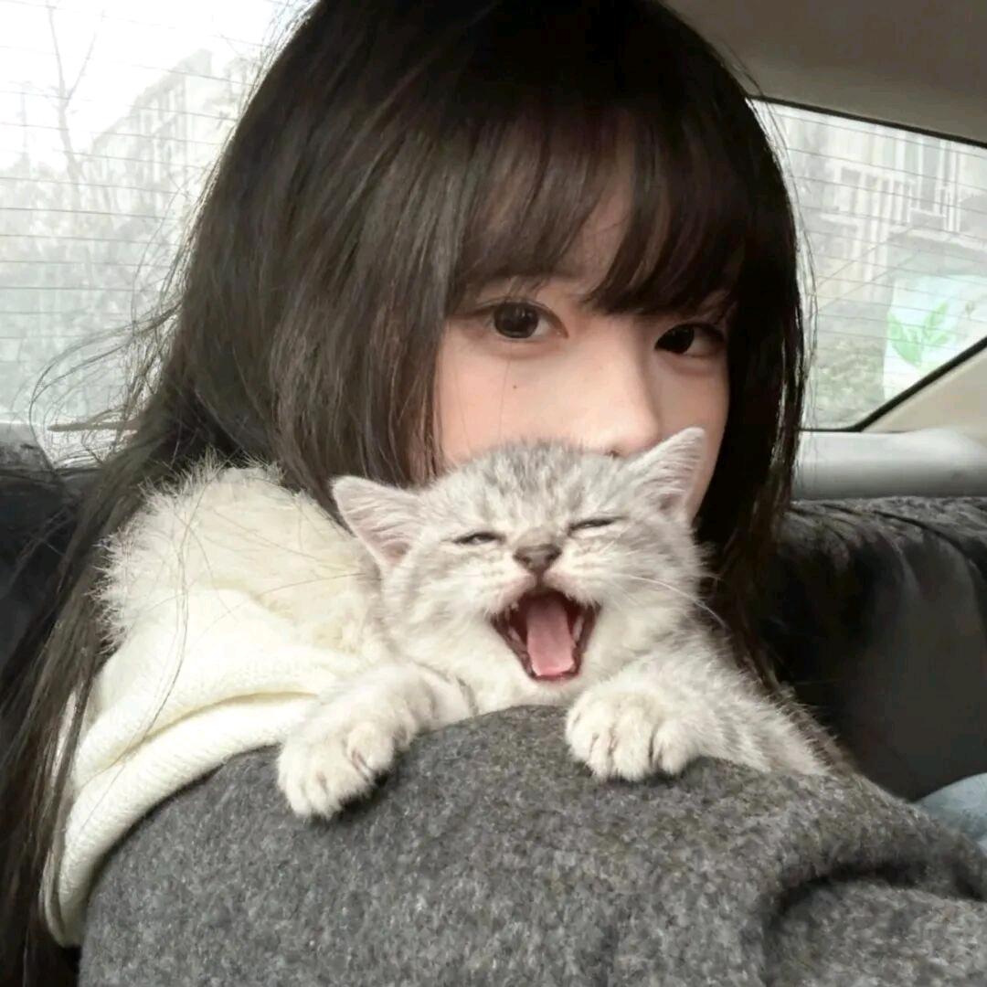 ฅ初ฅ.