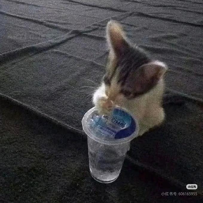 鸡脚筋