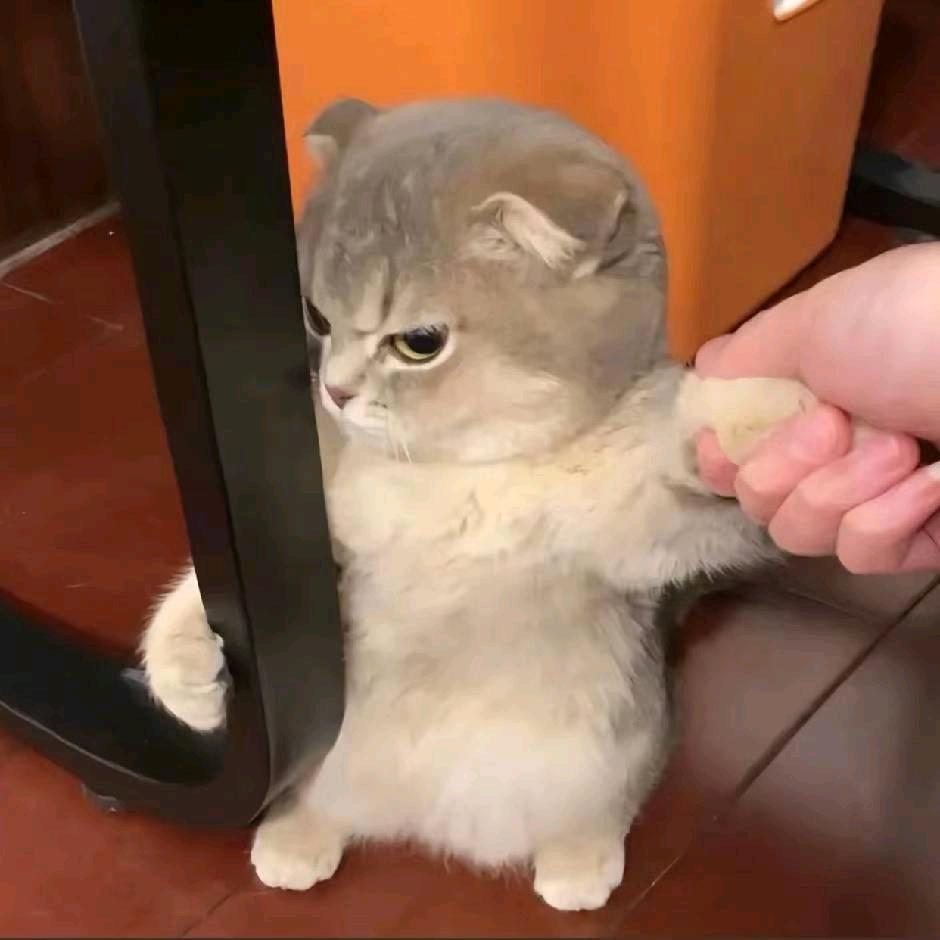 里昂
