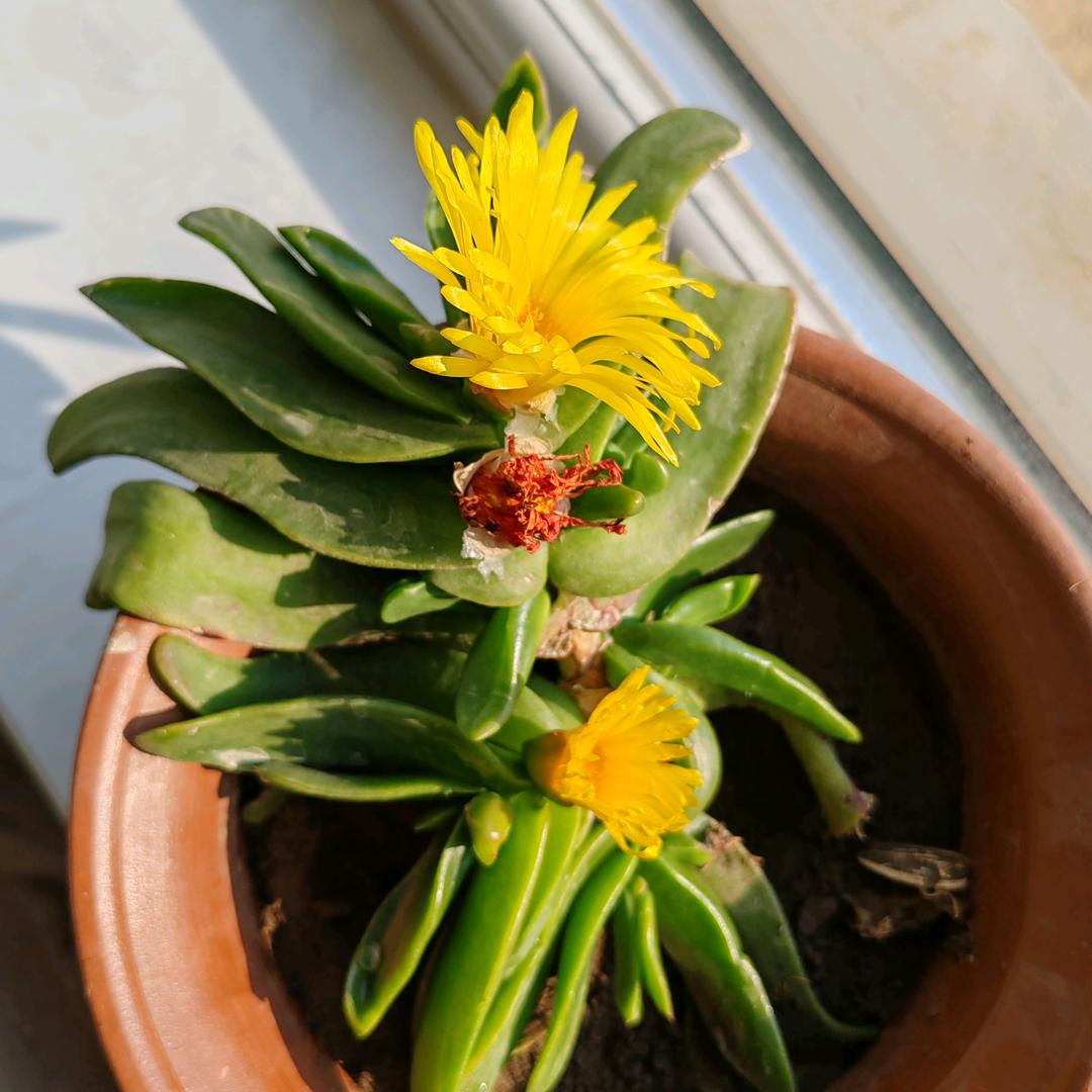 玻璃钢杆批发零售