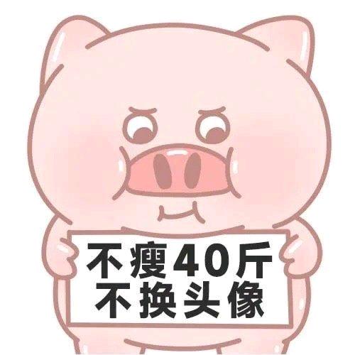 半口芝士小熊饼🧸