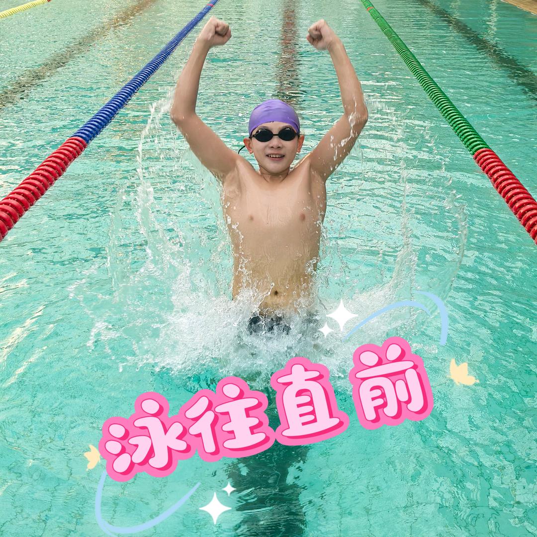 精养小海豚头像