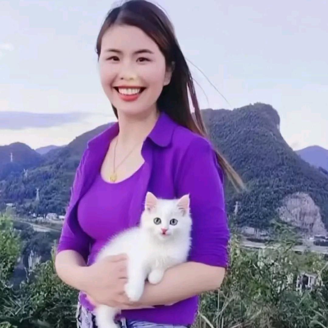 曲靖燕