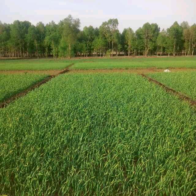 赣州赣县区庐邦农业发展有限公司