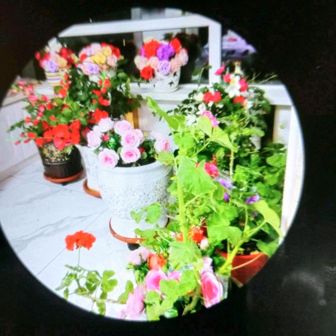 可以的