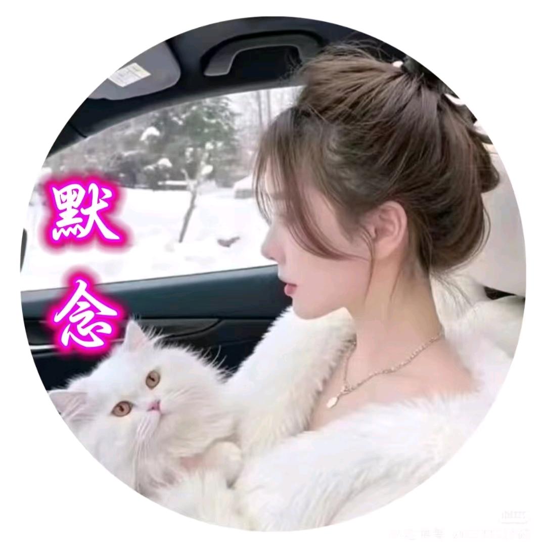 ♥(｡￫v￩｡)默³念