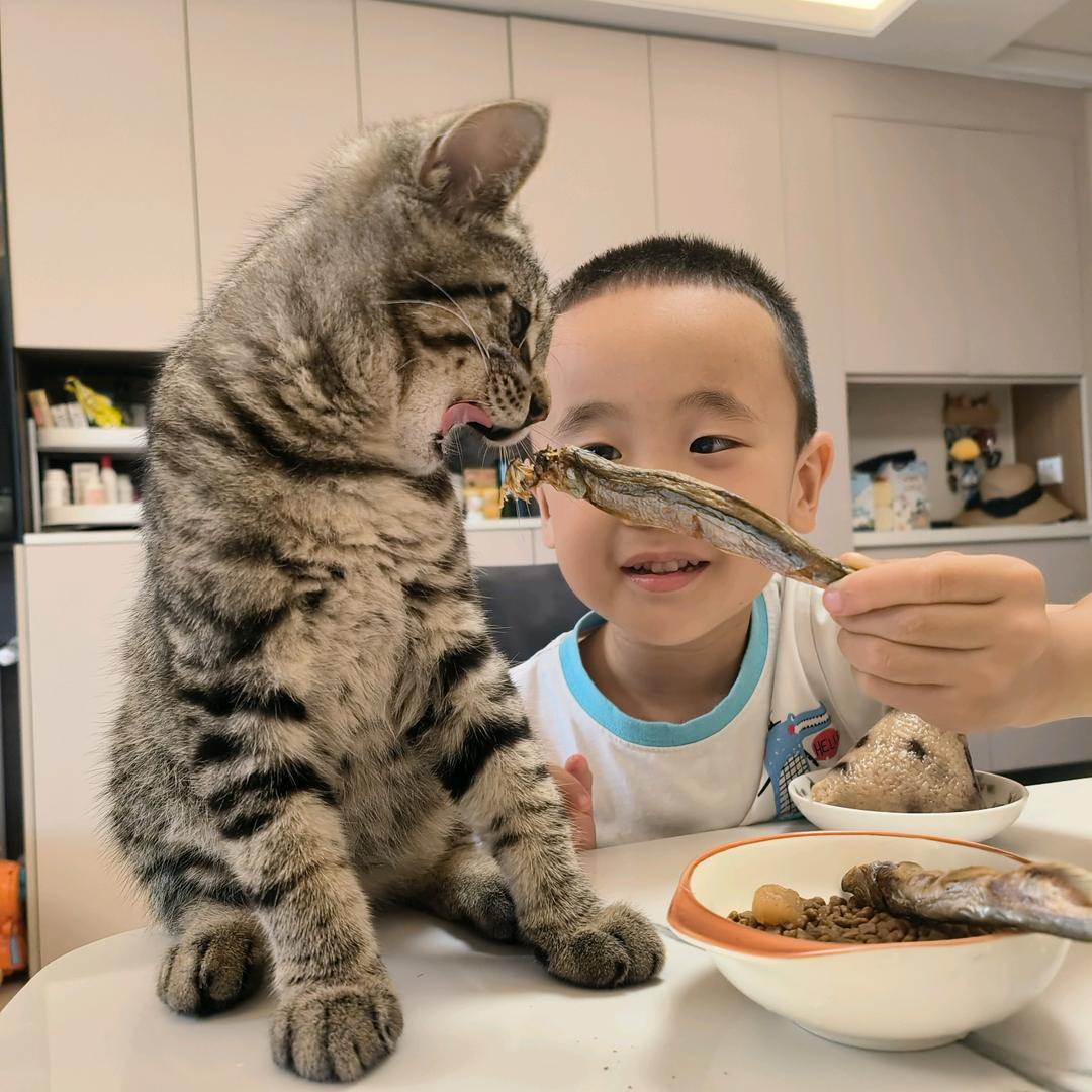 小屹麻麻