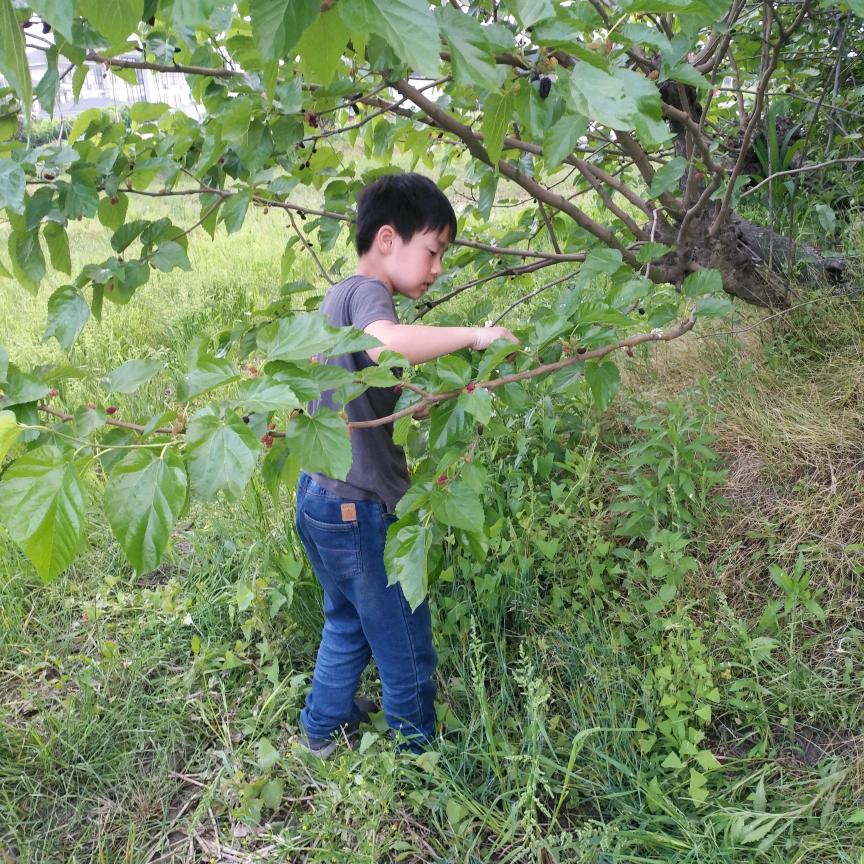 沈甜甜