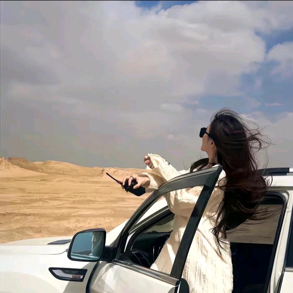 Sunflower（连赞拉黑）