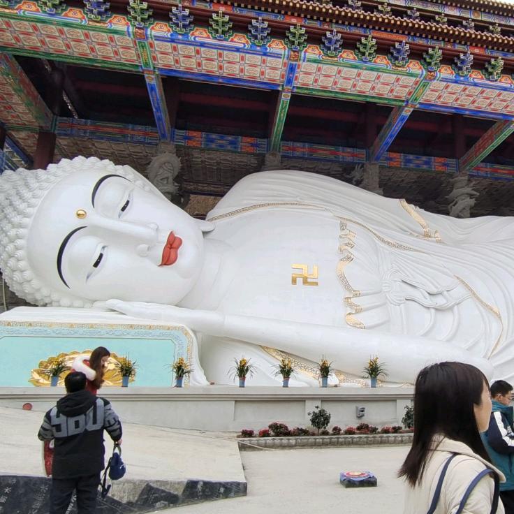 缘是天意