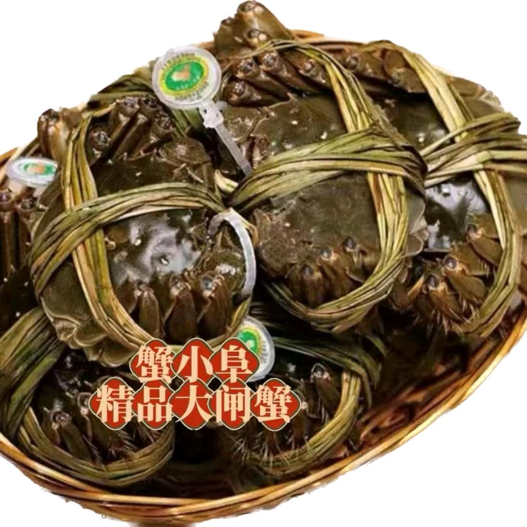 蟹小阜大闸蟹开发区店直播2