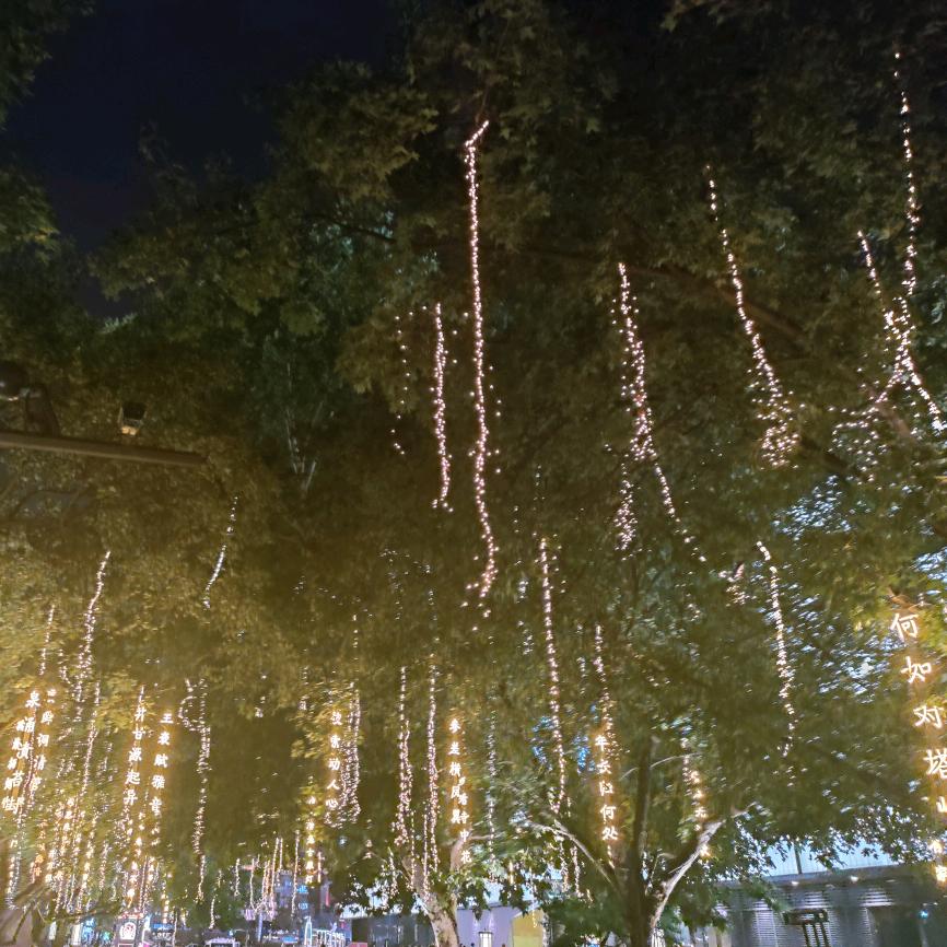 ℳঞ孤独成瘾 ໌້ᮨ꧔ꦿ᭄💕