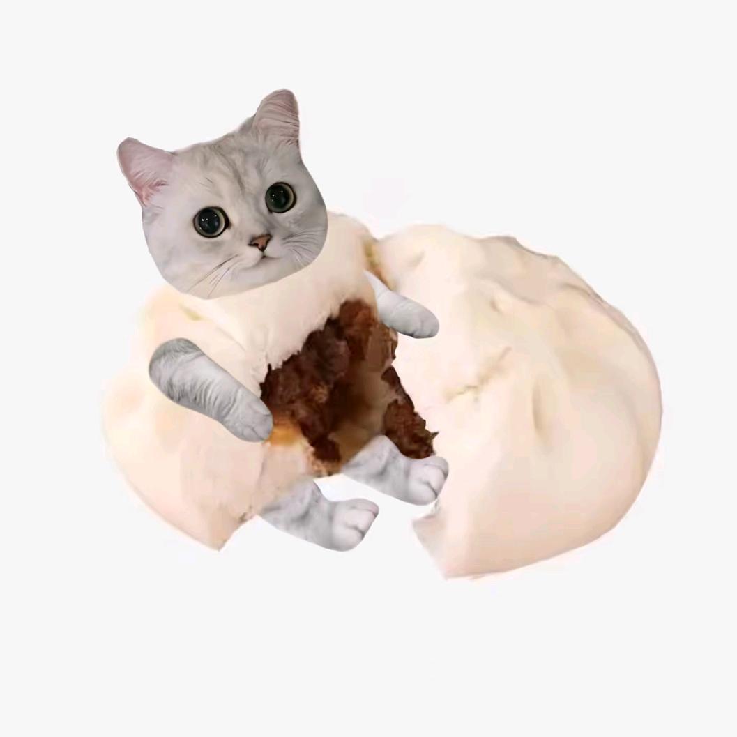 一颗包