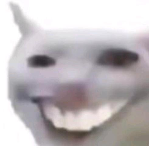 瓜皮
