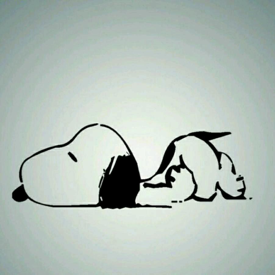 小黄瓜萌宠（中华田园犬）