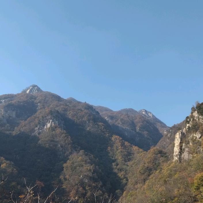 张先生，