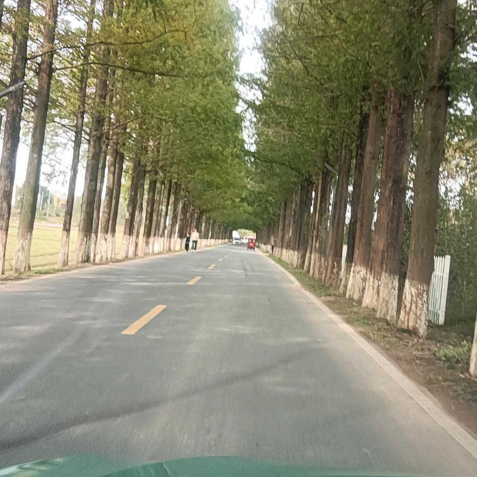 平安佛