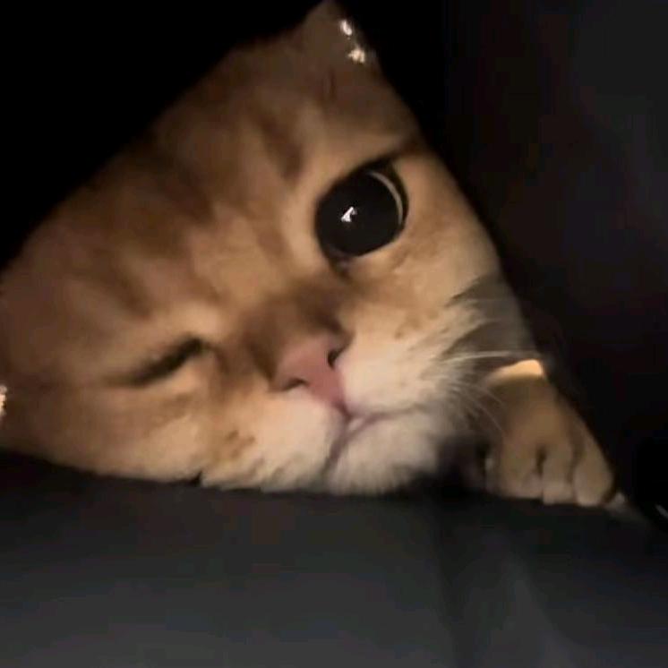 张诚林