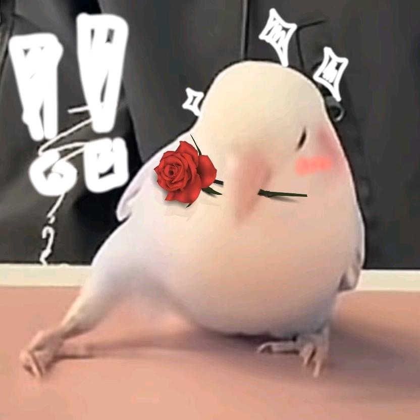 榴莲味甜酷沙雕·毁灭吧扎嘴