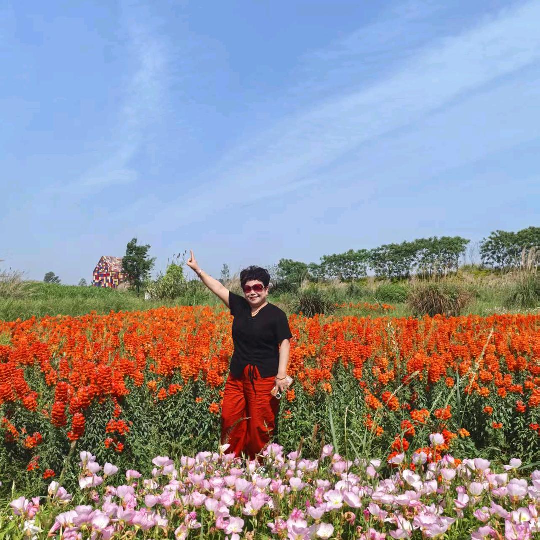 小玉姐812x7193824