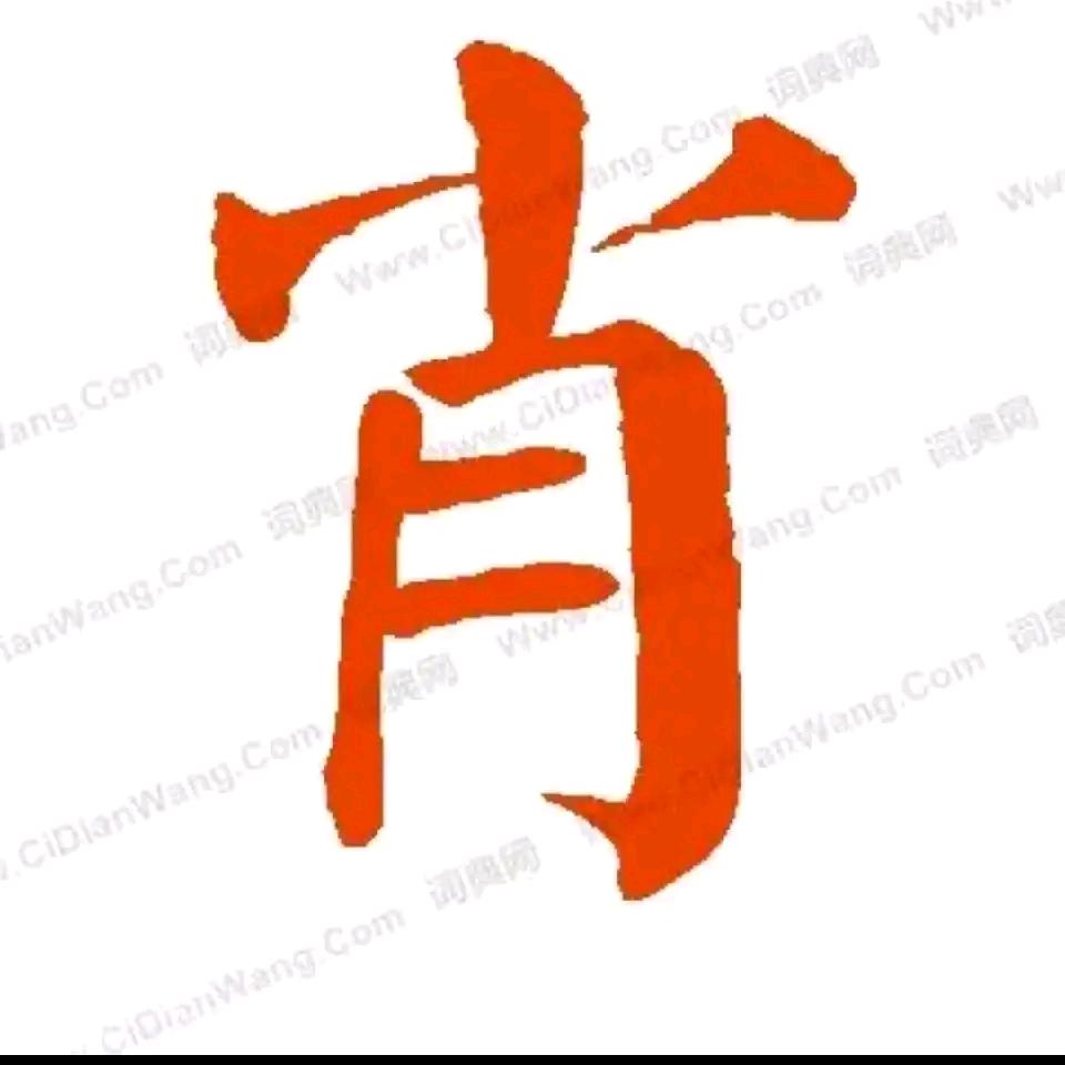 肖显波