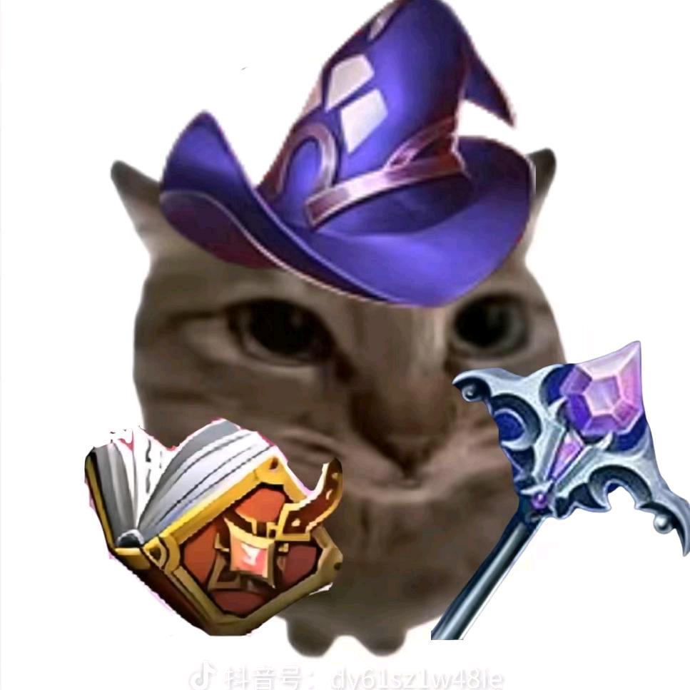 小猫大王