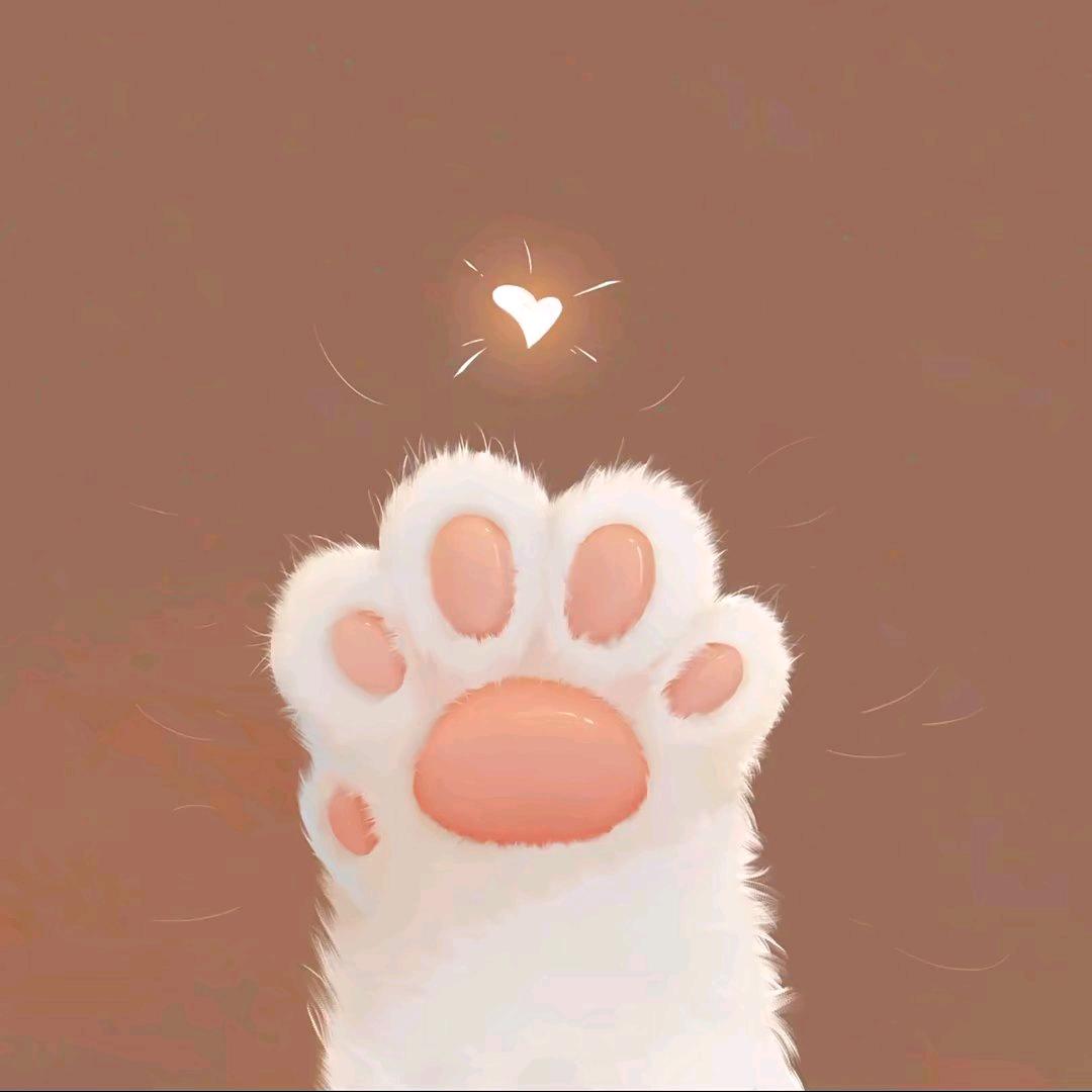 草莓熊🧸