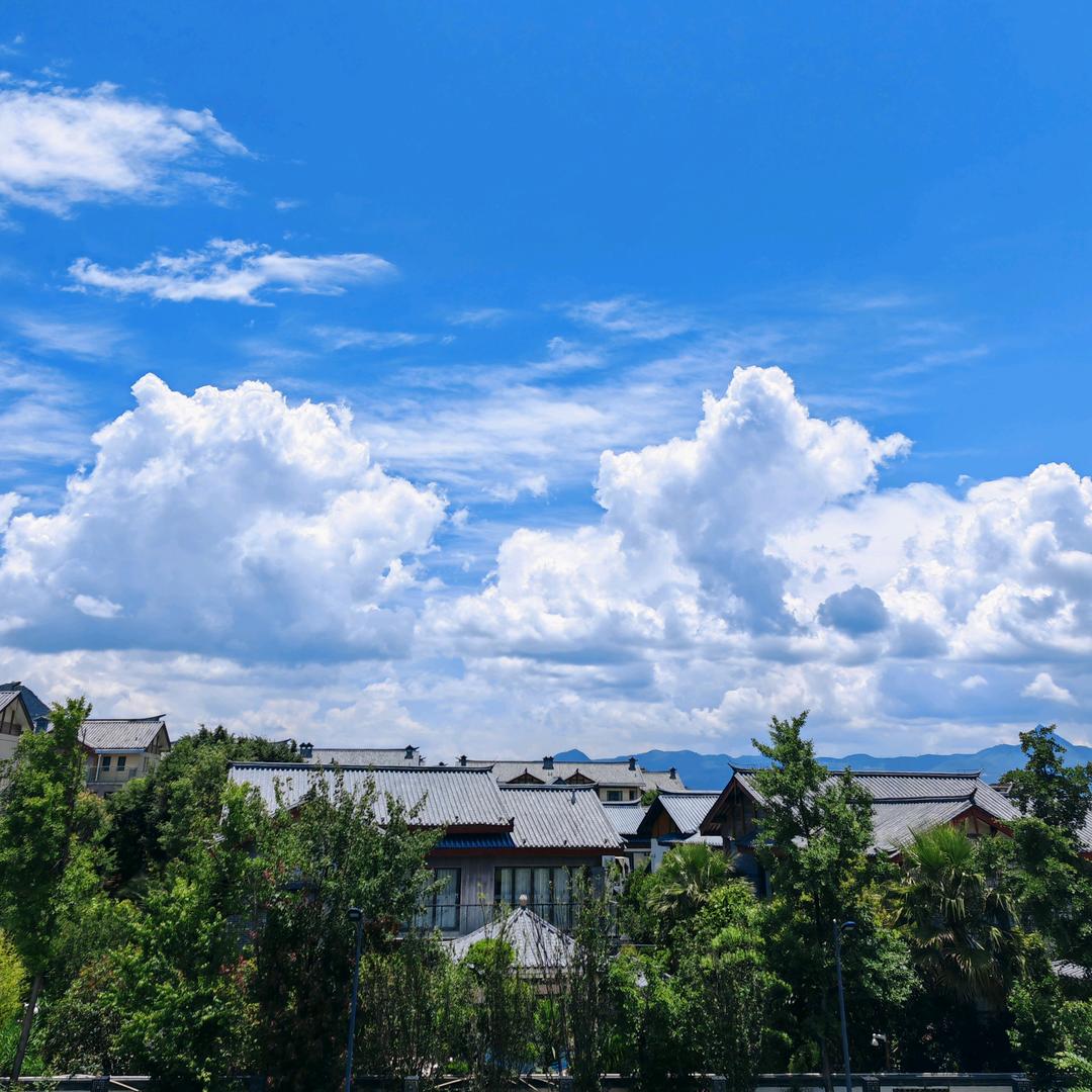 资证通～亿兵📚