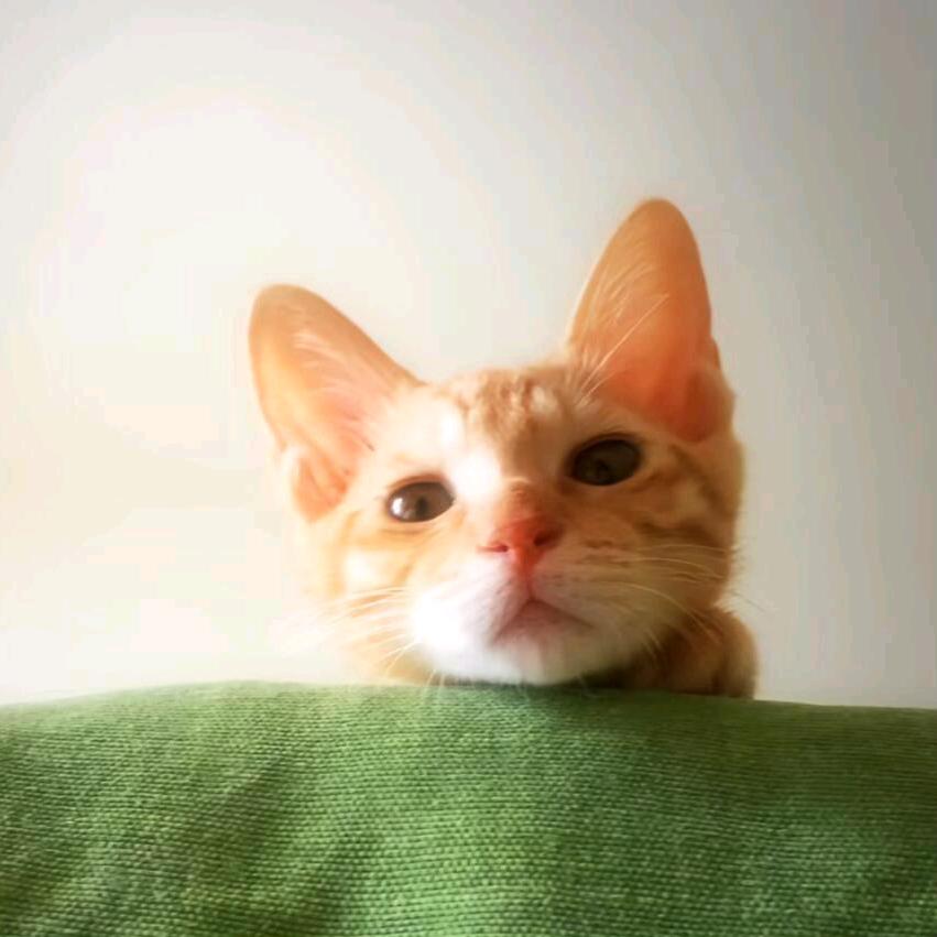 好运降凌