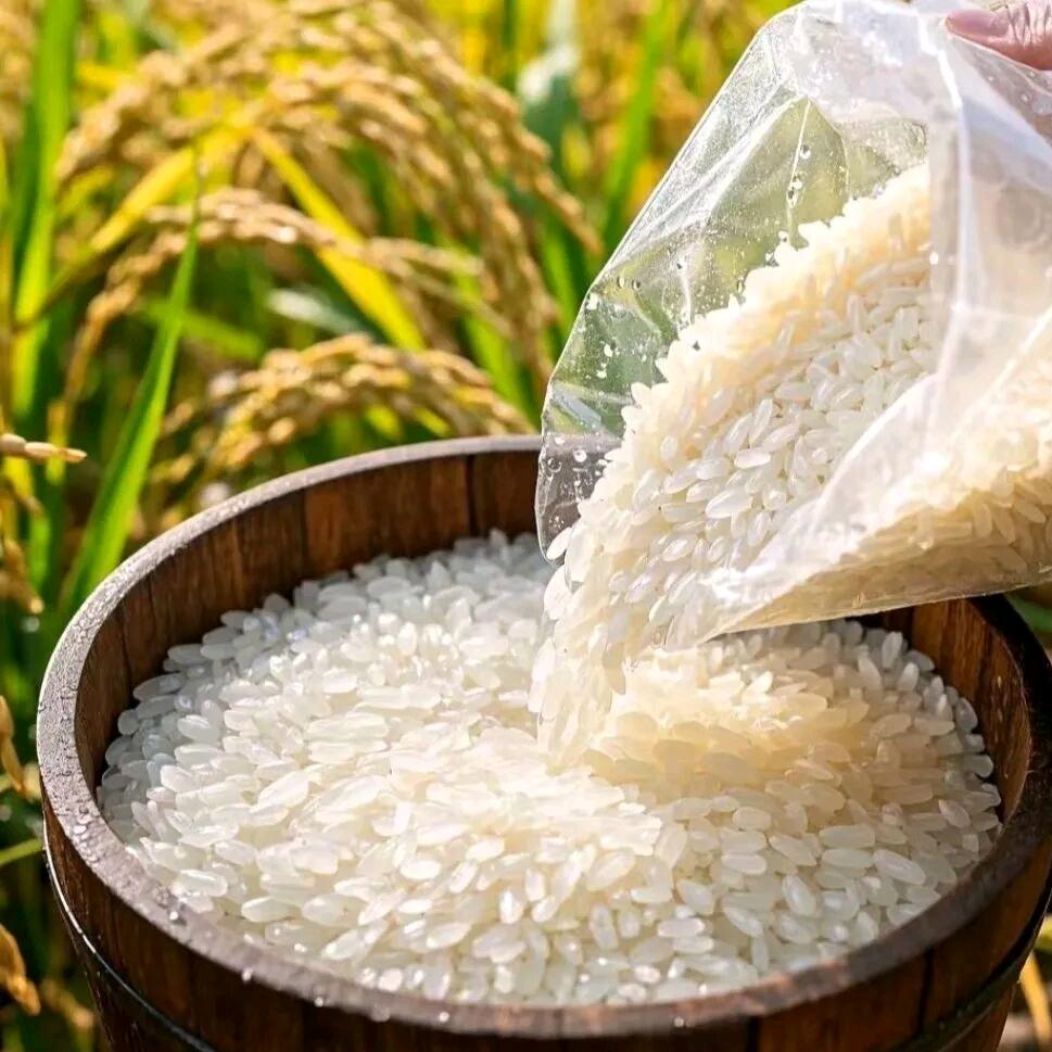 安心粮油批发商行