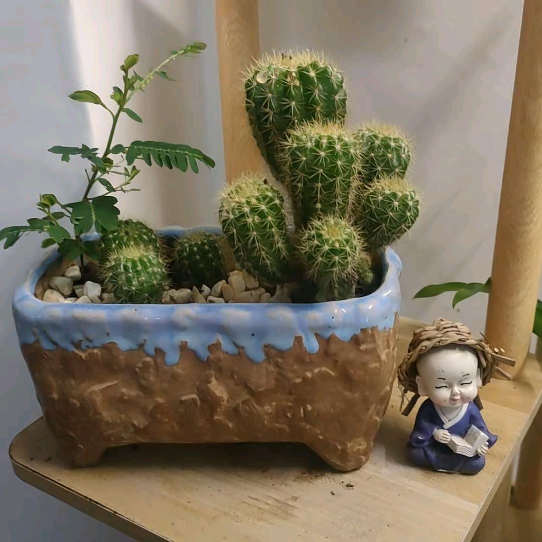 💗᭄ᝰᩚ麻🌶️水煮🐠ꦿ໌