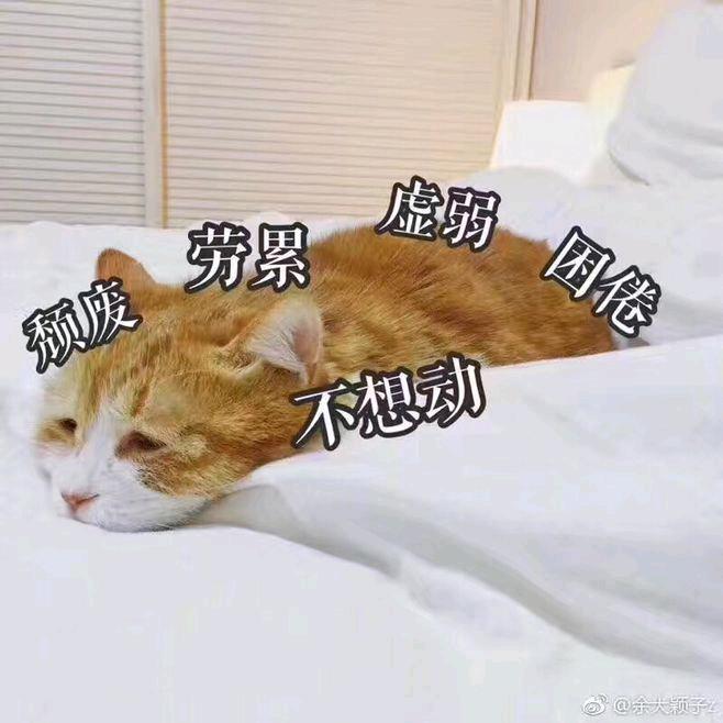 芷晴