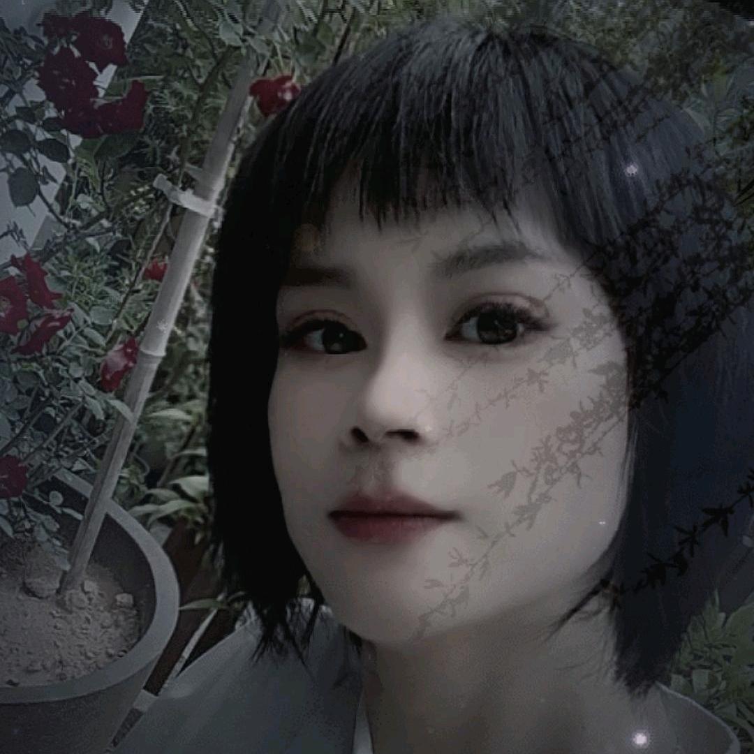 小燕子