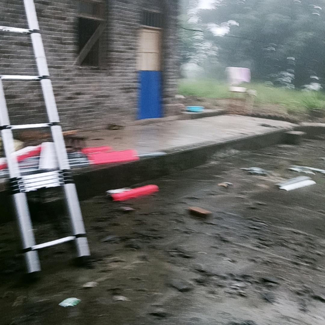 情人