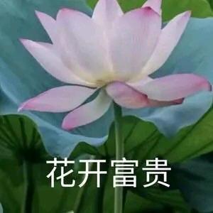 抽象国王幻想想