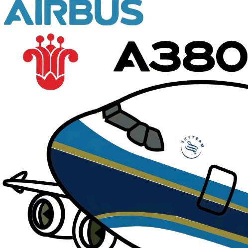 一架南航的空客A380