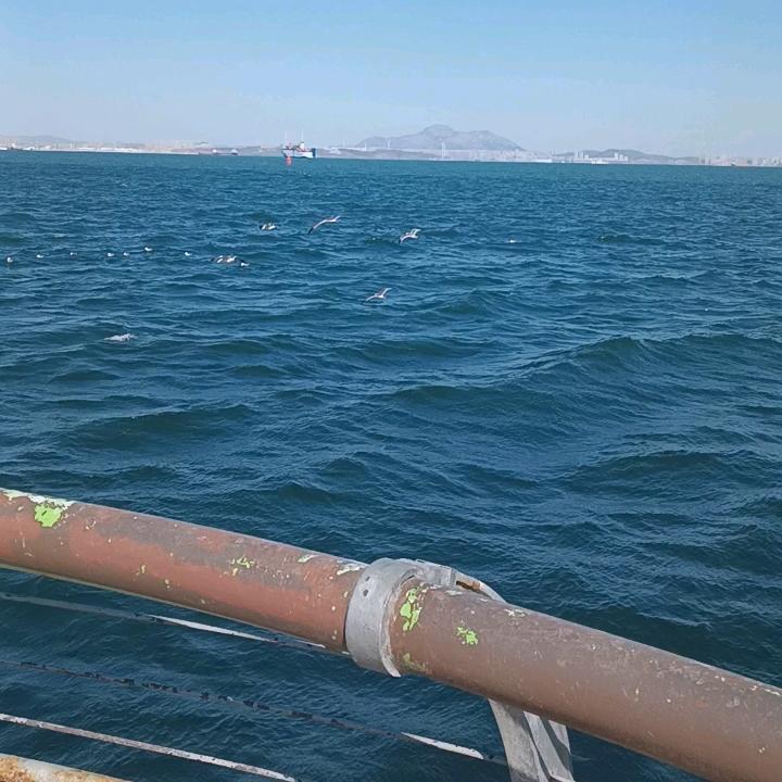 丹东莓香伴海生鲜