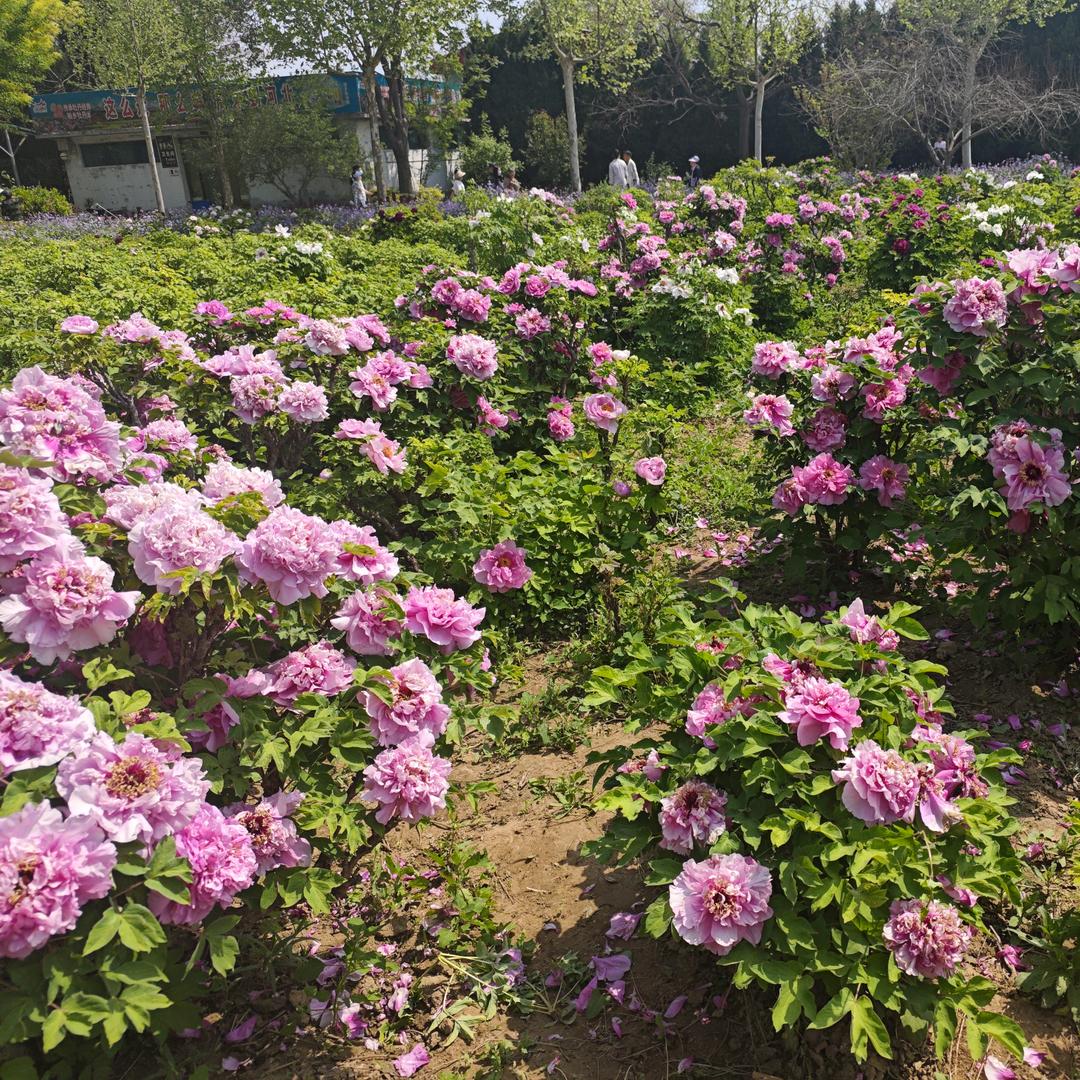 我依然是我