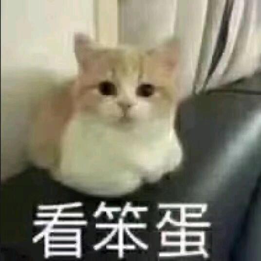 迟迟