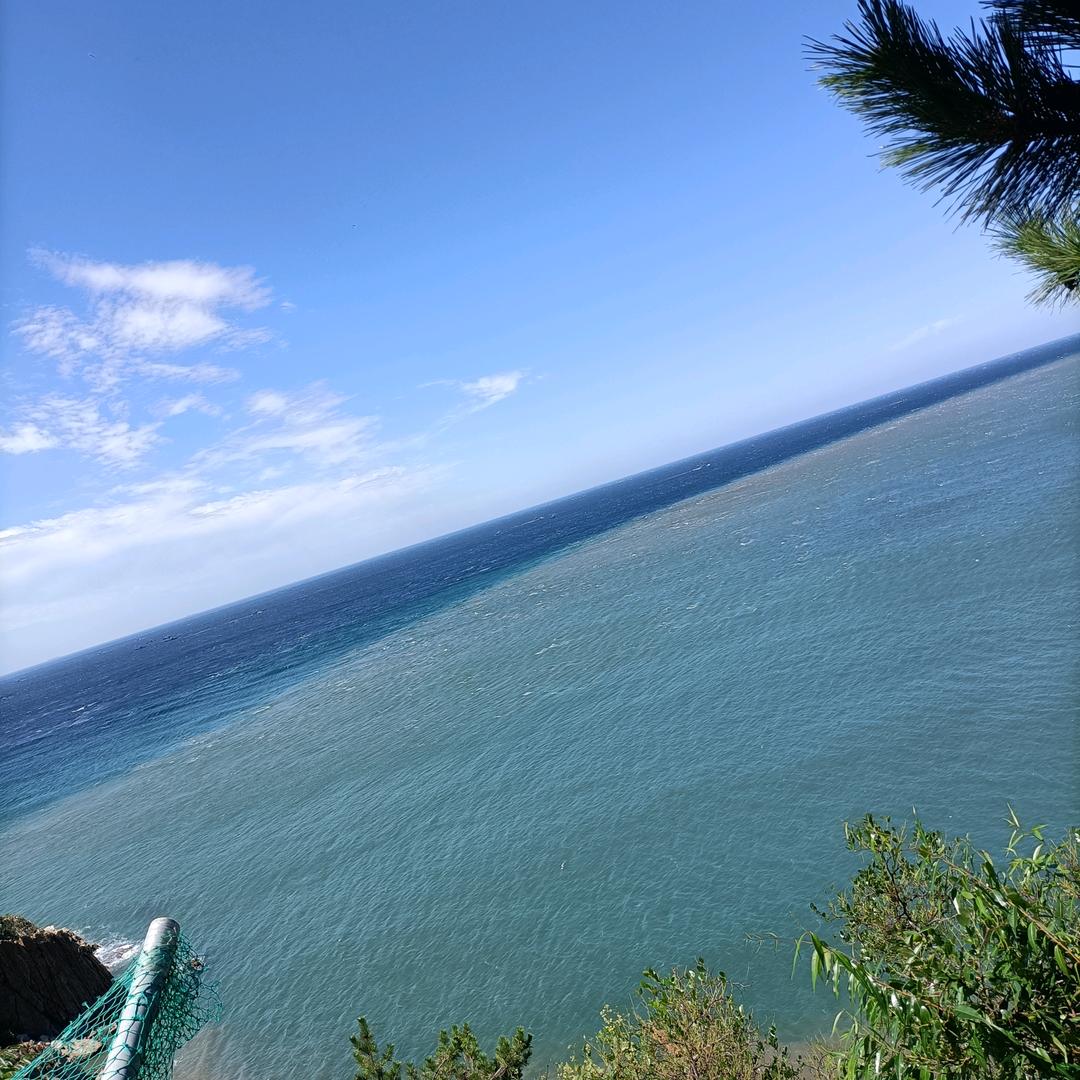 可乐加糖