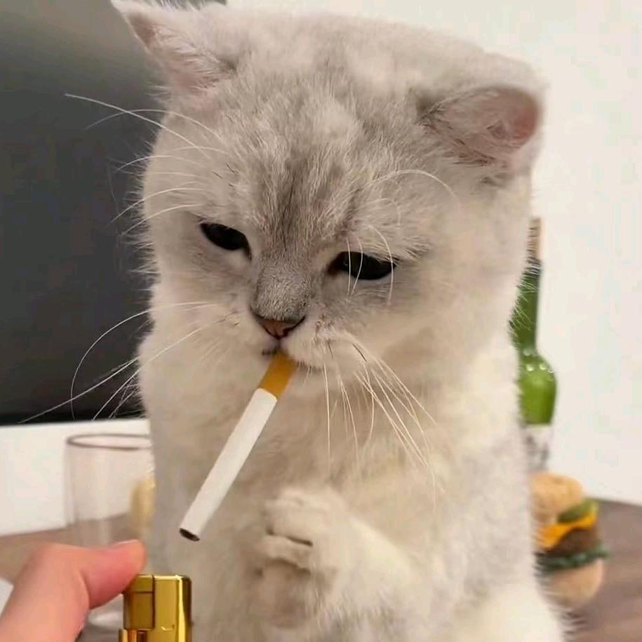 每天都很困