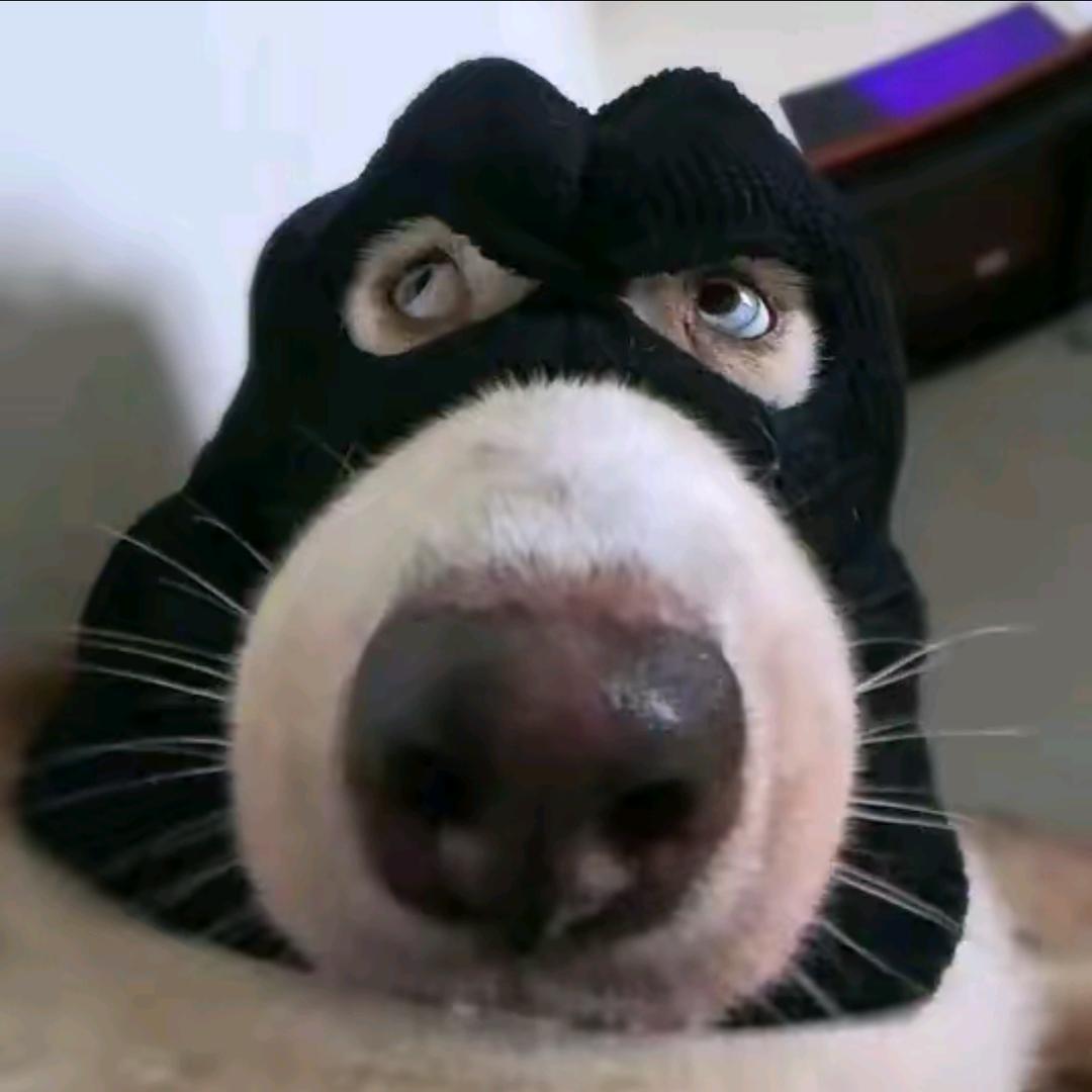 我不是彭于晏
