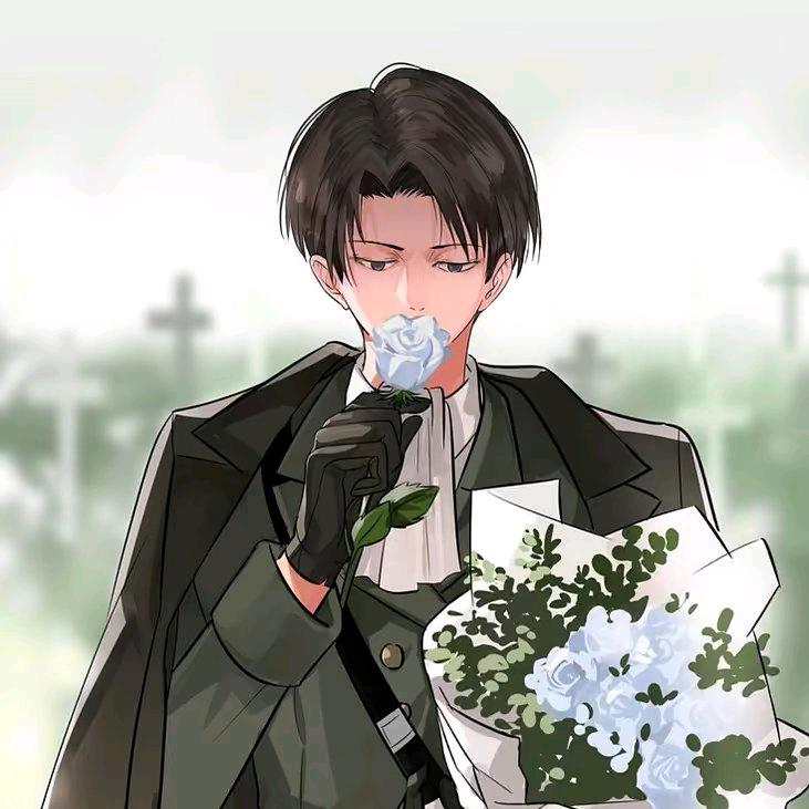 拒绝levi一切cp