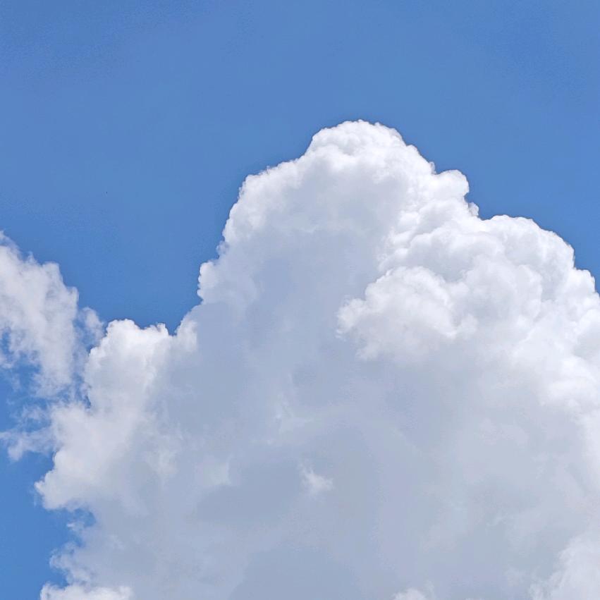 李律的记事本✨