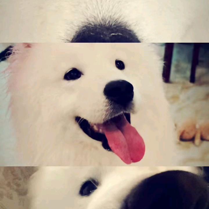 JNIE
