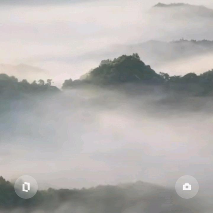 🌴🌴浅笑不语🍀🍀